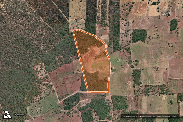 Imagem de satélite de SITIO LAMEIRO em GAMELEIRAS - MG