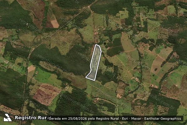 Imagem de satélite de FAZENDA RIO DAS PEDRAS em PIRENÓPOLIS - GO