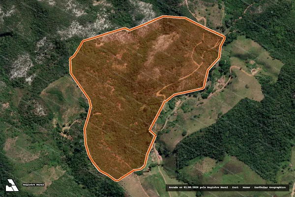 Imagem de satélite de FAZENDA SAO GABRIEL E SANTA LUZIA em RIO PRETO - MG