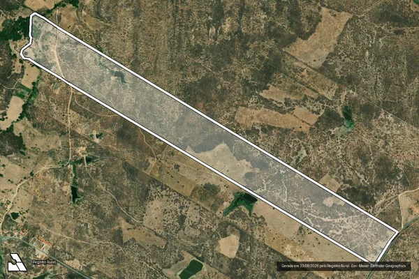Imagem de satélite de SITIO JUA em JAGUARIBE - CE