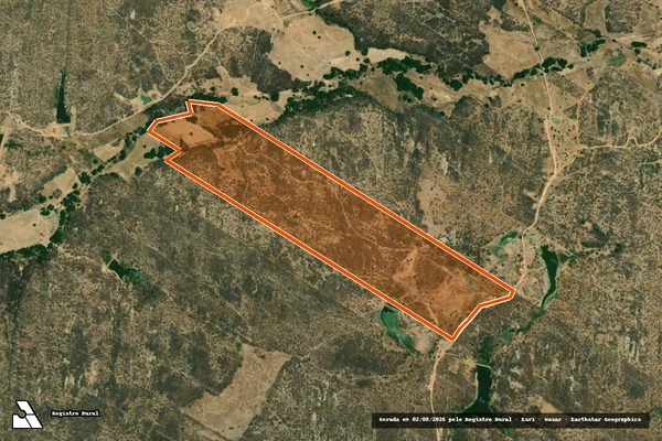 Imagem de satélite de SÍTIO IPUEIRA DE BAIXO em JAGUARIBE - CE