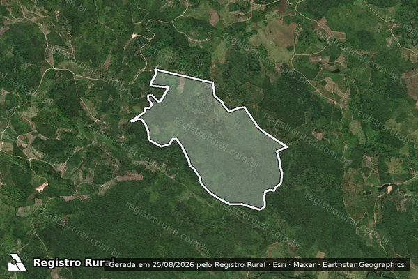 Imagem de satélite de Fazenda Flores em WENCESLAU GUIMARÃES - BA