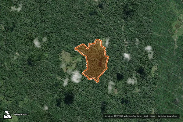 Imagem de satélite de FAZENDA JULIA E ZILDA em ILHÉUS - BA