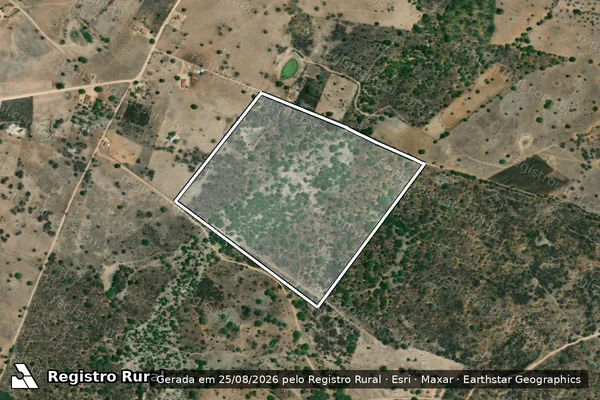 Imagem de satélite de FAZENDA BOM JARDIM / PARCELA 01 em SANTANA DO IPANEMA - AL