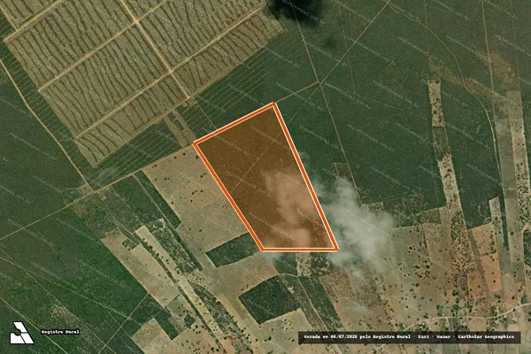 Imagem de satélite de FAZENDA ENGENHO VELHO em RIBEIRA DO AMPARO - BA