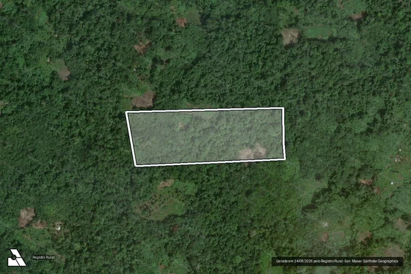 Imagem de satélite de LOTE 436 em SÃO GABRIEL DA CACHOEIRA - AM