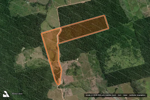 Imagem de satélite de FAZENDA RANCHINHO em NOVO PROGRESSO - PA