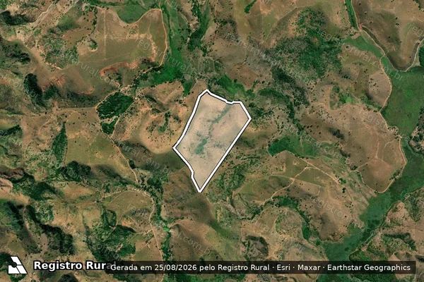 Imagem de satélite de Fazenda Tabocal em FREI INOCÊNCIO - MG