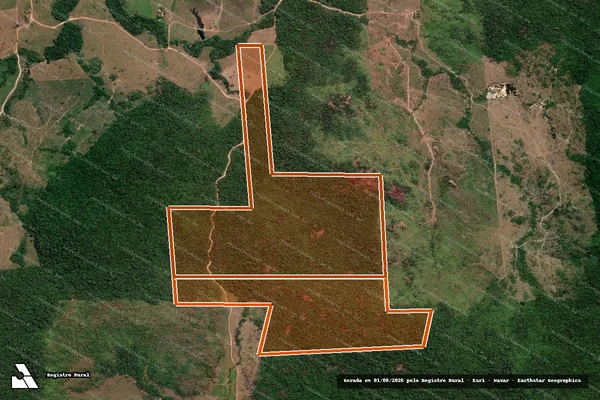 Imagem de satélite de FAZENDA PANELA DE BARRO em PARANAÍTA - MT