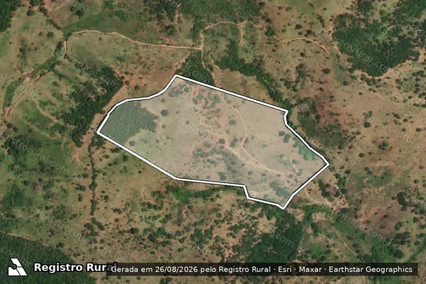 Imagem de satélite de FAZENA SOMBRA DA TERDE em BERTÓPOLIS - MG