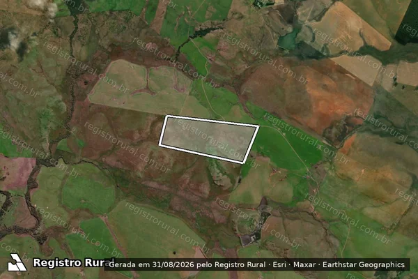 Imagem de satélite de RINCAO DA PALMA em ALEGRETE - RS