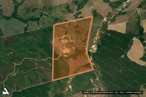 Imagem de satélite de FAZENDA PETROWILTON I em NOVO PROGRESSO - PA