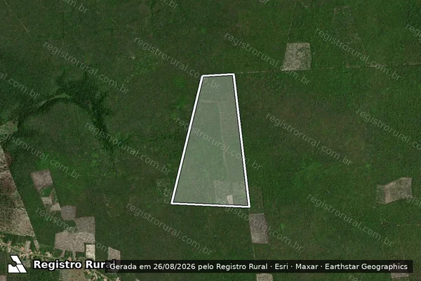 Imagem de satélite de BOSQUE em BARRAS - PI