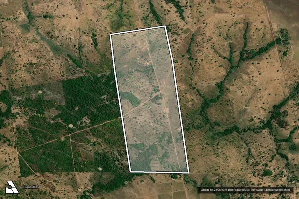 Imagem de satélite de LOTE 93 em PEQUIZEIRO - TO