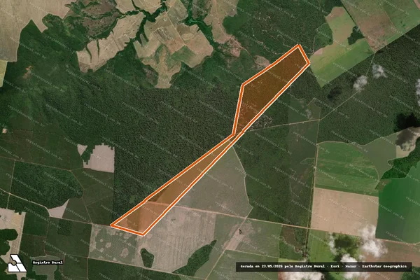 Imagem de satélite de FAZENDA BOA ESPERANÇA I em DOM ELISEU - PA