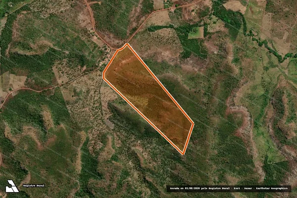 Imagem de satélite de Santa Cruz em SÃO PEDRO DO PIAUÍ - PI