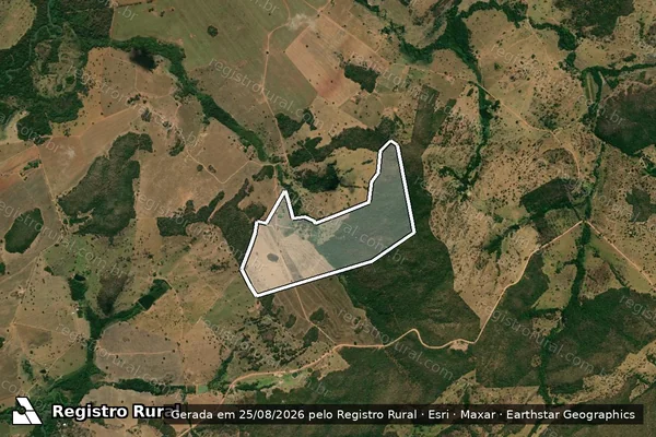 Imagem de satélite de FAZENDA RECANTO FELIZ em JANDAIA - GO