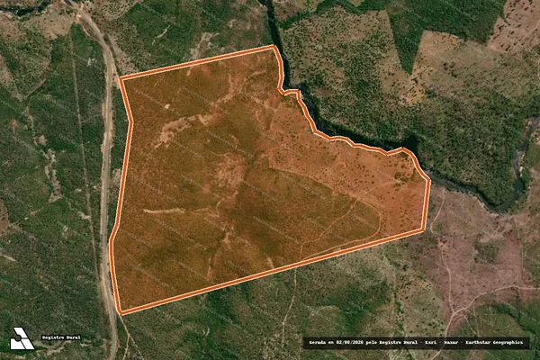 Imagem de satélite de FAZENDA DEUS DARA 02 em PINDORAMA DO TOCANTINS - TO