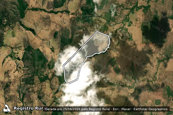 Imagem de satélite de FAZ. CEDRO DOS CUBAS TAQUARI em SANTA TEREZINHA DE GOIÁS - GO