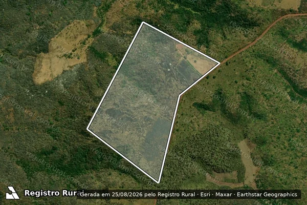 Imagem de satélite de FAZENDA CARRASCO em COLINAS - MA