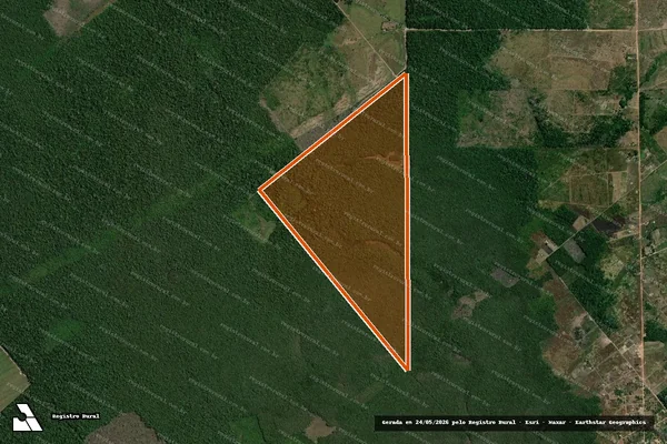 Imagem de satélite de SITIO THALIA em HUMAITÁ - AM