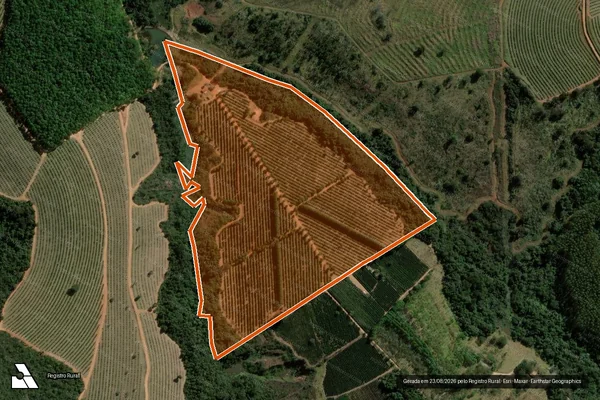 Imagem de satélite de SITIO RENASCER em SANTO ANTÔNIO DO AMPARO - MG