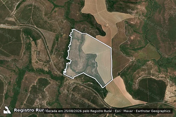 Imagem de satélite de FAZENDA TRINDADE em JOÃO PINHEIRO - MG