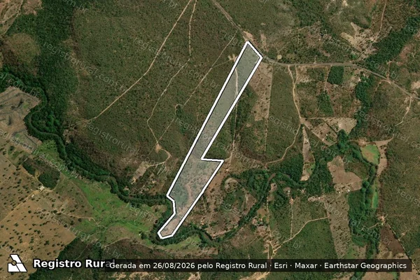 Imagem de satélite de FAZENDA FORNO VELHO em SAMBAÍBA - MA