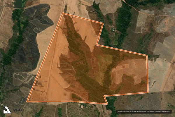 Imagem de satélite de FAZENDA FLORESTA em PAU D'ARCO - PA