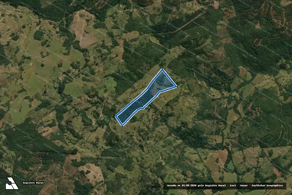 Imagem de satélite de FAZENDA TRIUNFO - FAZENDA ESPIGÃO BRANCO em Campos Novos - SC