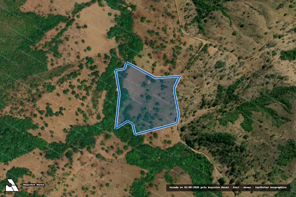 Imagem de satélite de PROJETO DE ASSENTAMENTO JALYSON JOSÉ VERONEZ - Lote 07 - Gleba B em Formoso - GO