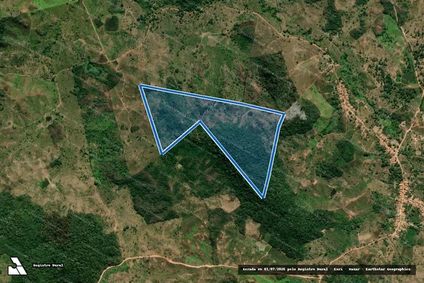 Imagem de satélite de FAZENDA BRENDA