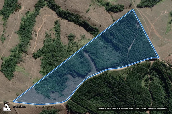 Imagem de satélite de Fazenda Três Pinheiros - Gleba A em Arapoti - PR