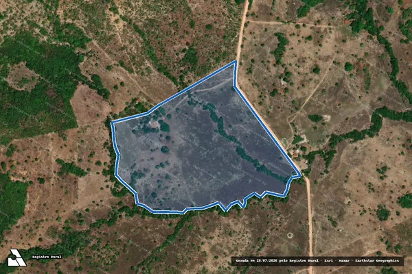 Imagem de satélite de FAZENDA ALAGADO - GLEBA - 46 - GLEBA 46 em Crixás - GO