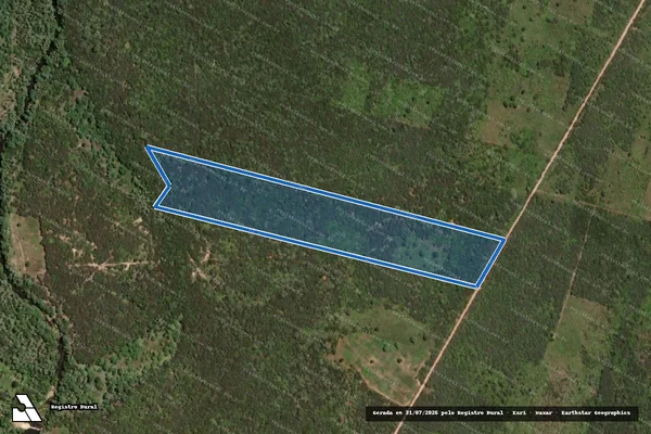 Imagem de satélite de PROJETO DE ASSENTAMENTO PAULO FREIRE - LOTE 08 - Parte 1 em Mossoró - RN