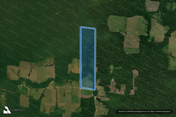 Imagem de satélite de Gleba Campinarana - Lote 290 / Lote 290
