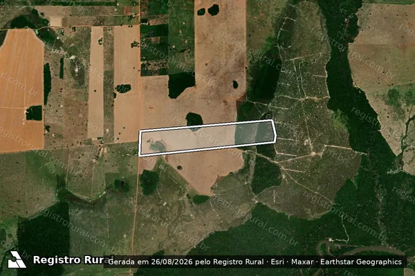 Imagem de satélite de LOTE 303, GLEBA 02, PA BOM PRINCIPIO, FAZENDA ESTRELAÇO - PARTE I em Seringueiras - RO