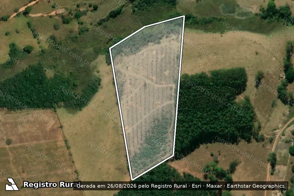 Imagem de satélite de FAZENDA PALMEIRA ? GLEBA 07 - Parte 1 em Itapecerica - MG