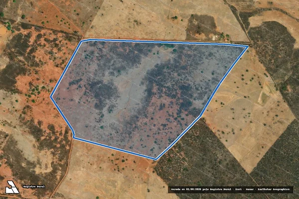 Imagem de satélite de SITIO BAIXA GRANDE - Parte 2 em Afrânio - PE