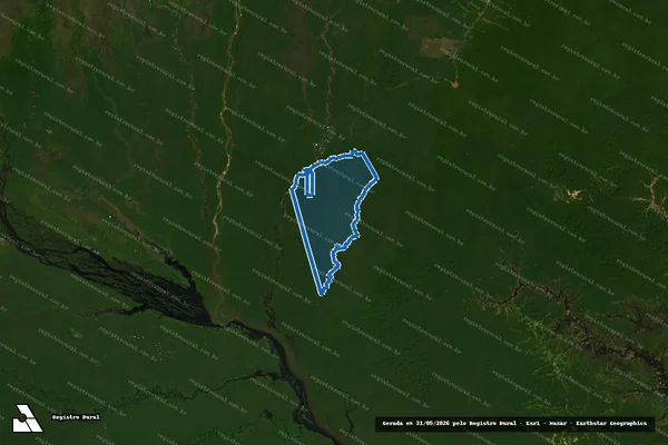 Imagem de satélite de GLEBA CAMANAU - Única em Novo Airão - AM