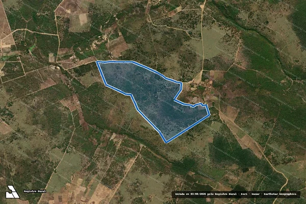 Imagem de satélite de Fazenda Tavares - Parte 1 em Ninheira - MG