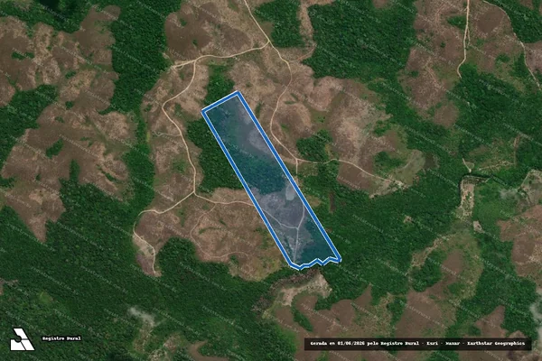 Imagem de satélite de Gleba Tartarugal Grande, Lote 154-TE - PARTE 1 em Ferreira Gomes - AP