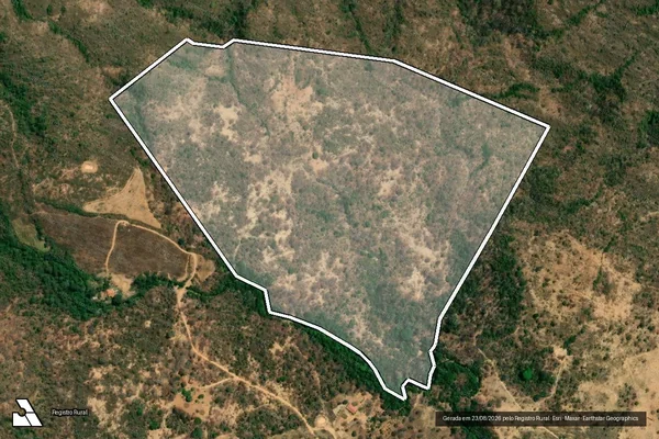 Imagem de satélite de FAZENDA ALMAS ou SÃO DOMINGOS - Gleba 02 em Buritis - MG