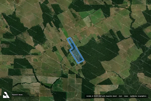 Imagem de satélite de / LOTE 04 - FAZENDA RAVAZOLI