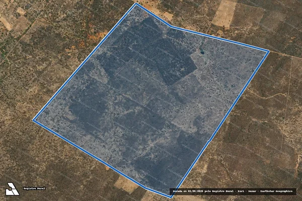 Imagem de satélite de RIACHO DO PAU FERRO - Parte 1 em Curral Novo do Piauí - PI