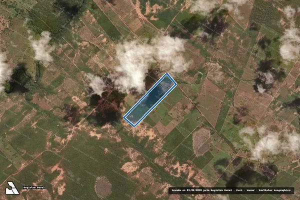 Imagem de satélite de LOTE Nº 54 DO P.A VALE DO MACACÃO - PARTE 1 em Flores de Goiás - GO