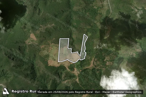 Imagem de satélite de FAZENDA CAPIM VERDE - Parte 1 em Jequitinhonha - MG