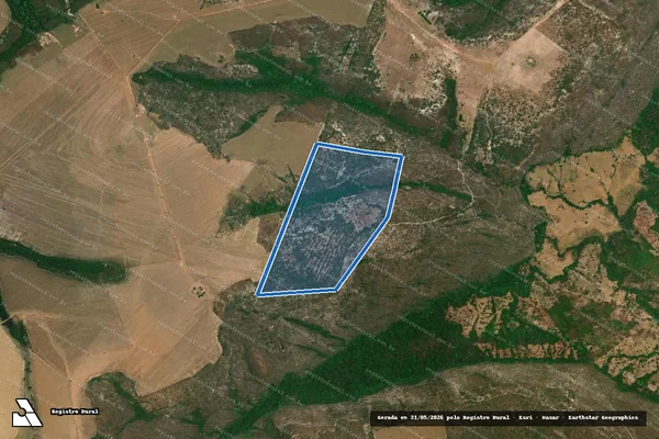 Imagem de satélite de Lote  09? Projeto de Assentamento Nova Pousada - Lote 09 em Bom Jardim de Goiás - GO