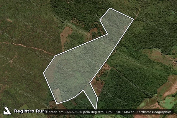 Imagem de satélite de FAZENDA MARRUAS - Parte 1 em Passagem Franca - MA