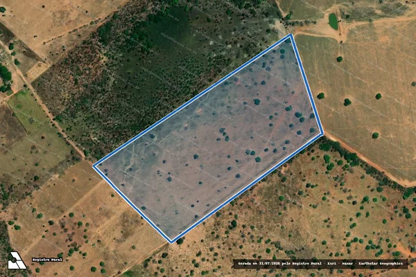 Imagem de satélite de FAZENDA SANTO ESTAVÃO - 001 em Formosa - GO